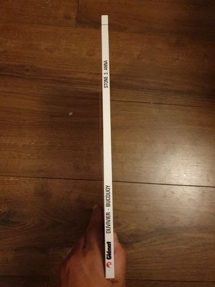 Bande dessinée Stone - photo numéro 2