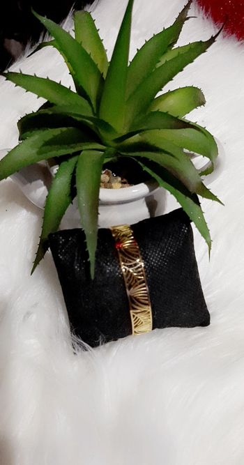 🌲🎅 manchette en acier chirurgicale🌲🎅