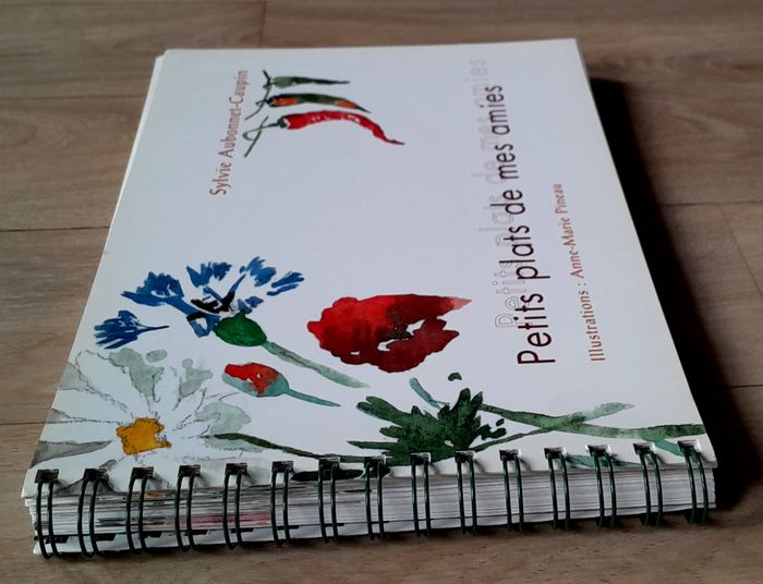 Sylvie Aubonnet-Caupin - Petits plats de mes amies (recettes, cuisine) - photo numéro 3