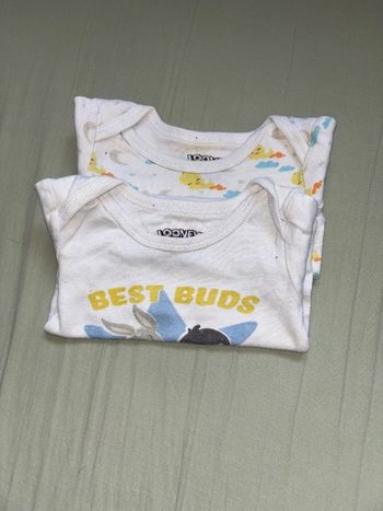 lot 2 bodies