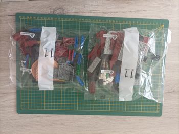 Sachet numéro 11 n°11 complet pour le set Lego Icons 10294 Le Titanic