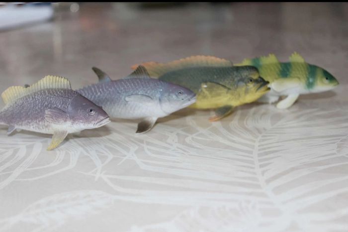 lot poissons - photo numéro 4