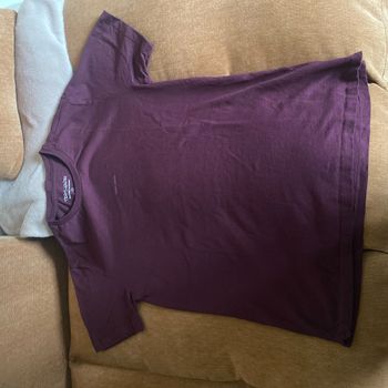 Tee shirt Teddy smith