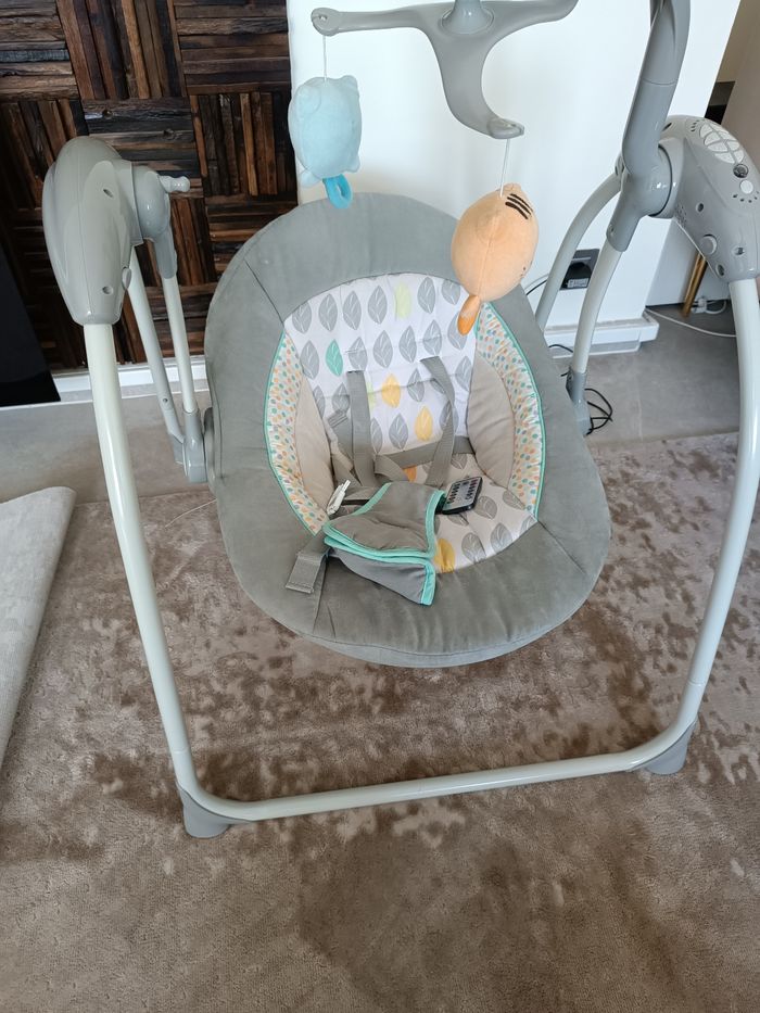 Balançoire électrique - photo numéro 5