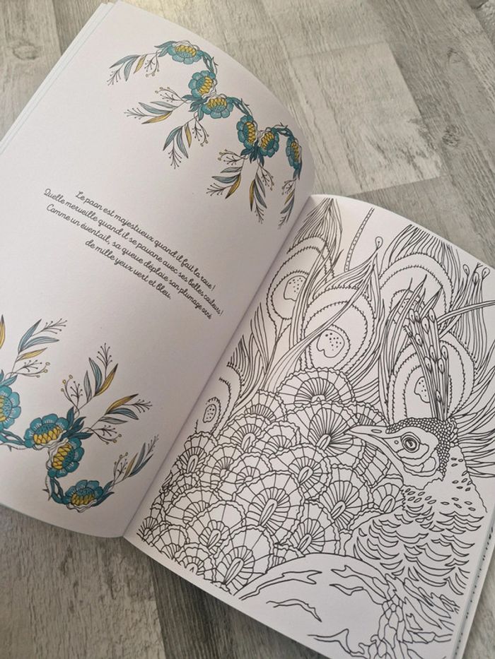 Livre coloriage jungle enchantée - photo numéro 5