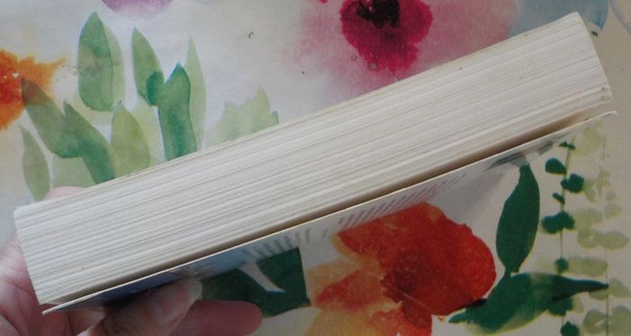 Le voyage de Jabel d'Angèle Jacq Ed. du Palémon - photo numéro 4