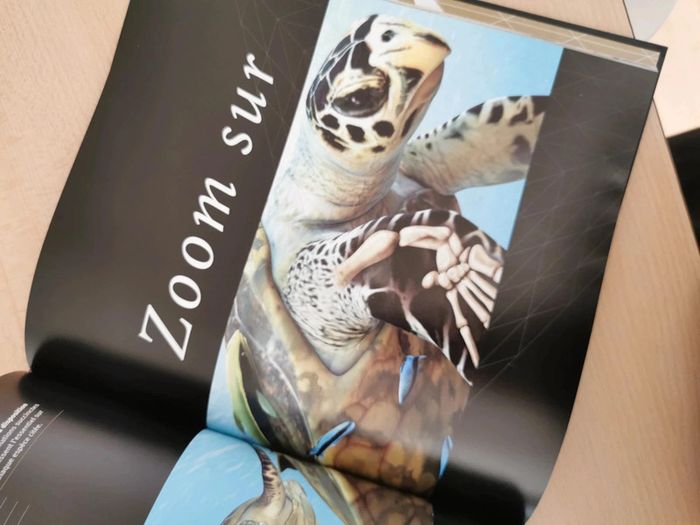 Les reptiles - photo numéro 5