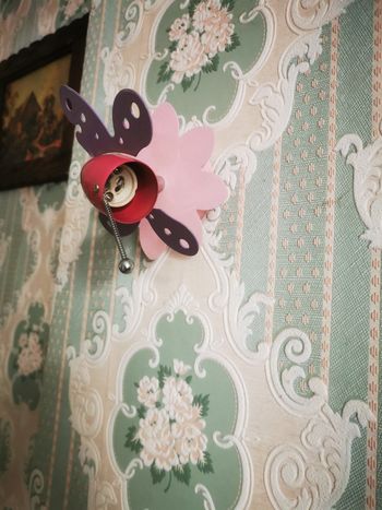 Spot Papillon