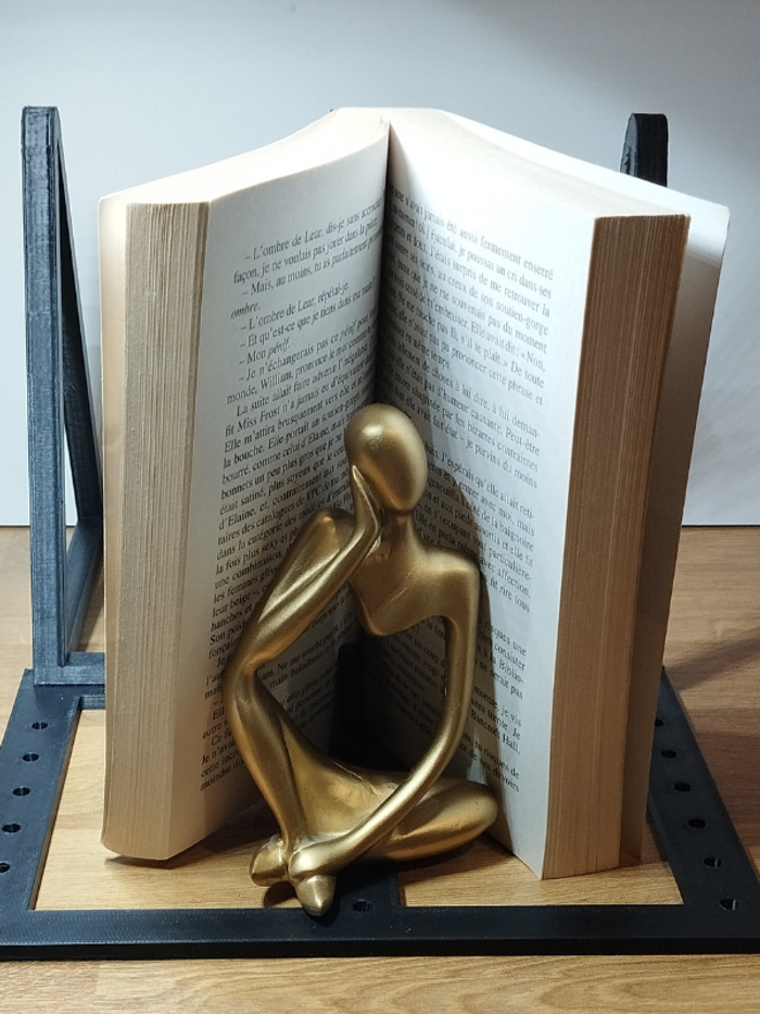 Roman à moi seul bien des personnages de Jhon Irving - photo numéro 5