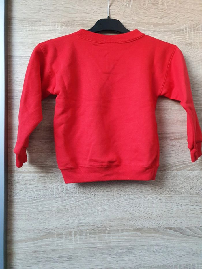 Pull chaud taille 2/4 ans - photo numéro 2