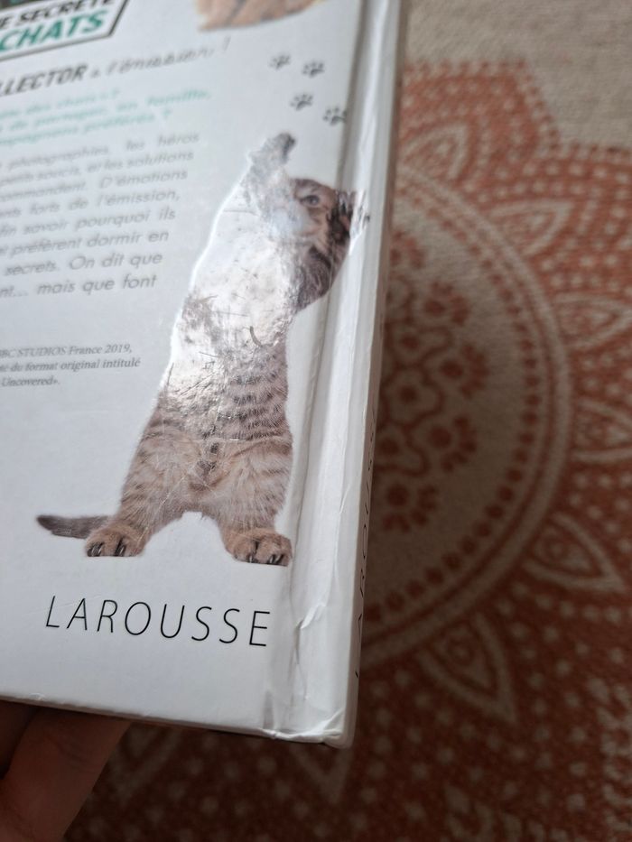 La vie secrète des chats - photo numéro 3