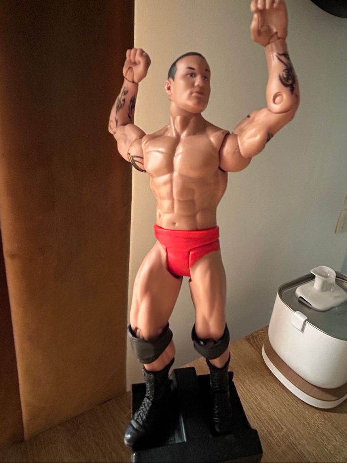 Randy Orton WWE Action Figure - photo numéro 3