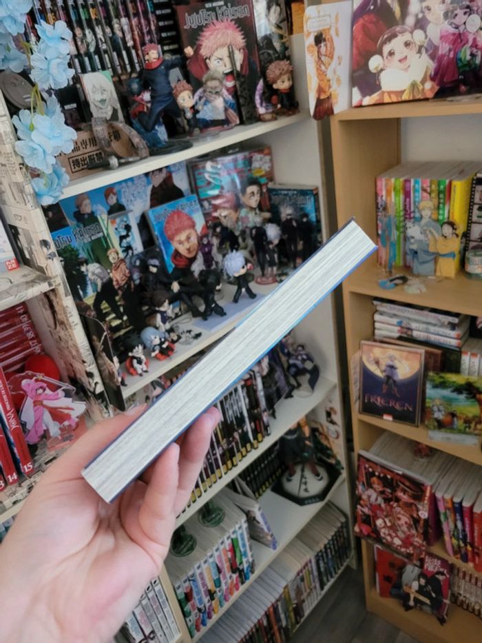 Manga viland saga tome 1 - photo numéro 5