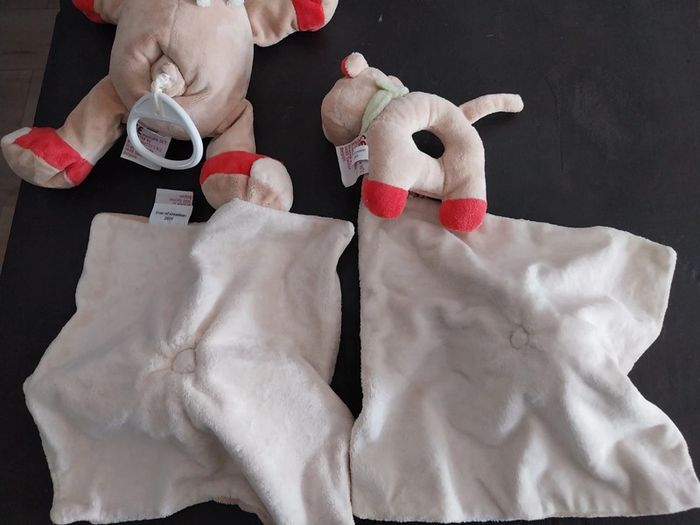 Rhino bengy - photo numéro 7