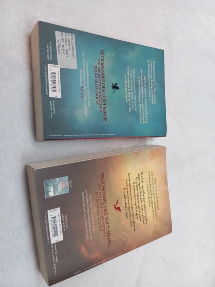 La révolte des dragons - photo numéro 2