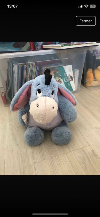 Bourriquet winnie