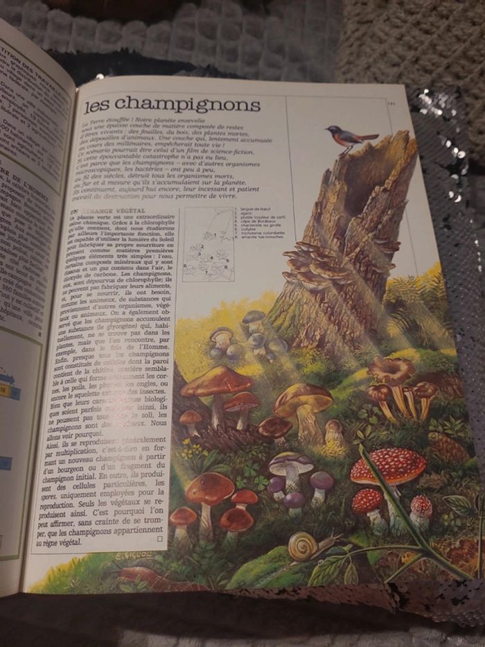 Tout l'univers encyclopédie de l'âge scolaire - photo numéro 4