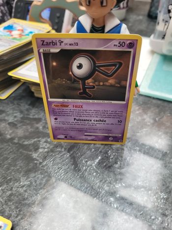 Pokémon Zarbi niv13