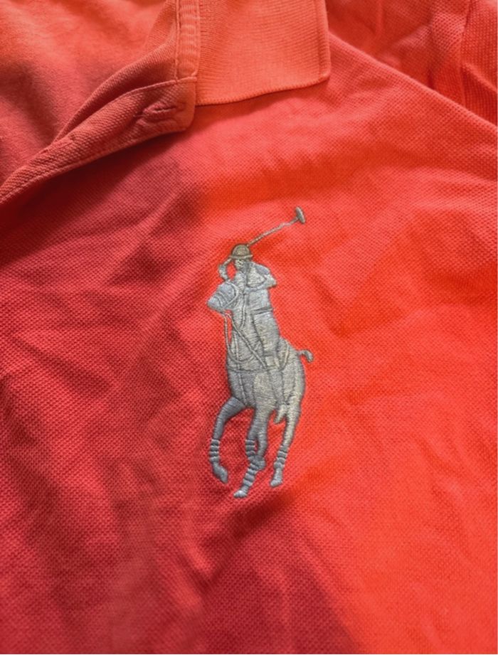 Polo - photo numéro 4