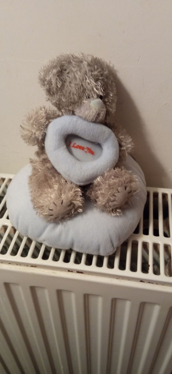 Nounous - photo numéro 3