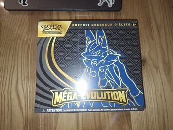 ETB mega evolution