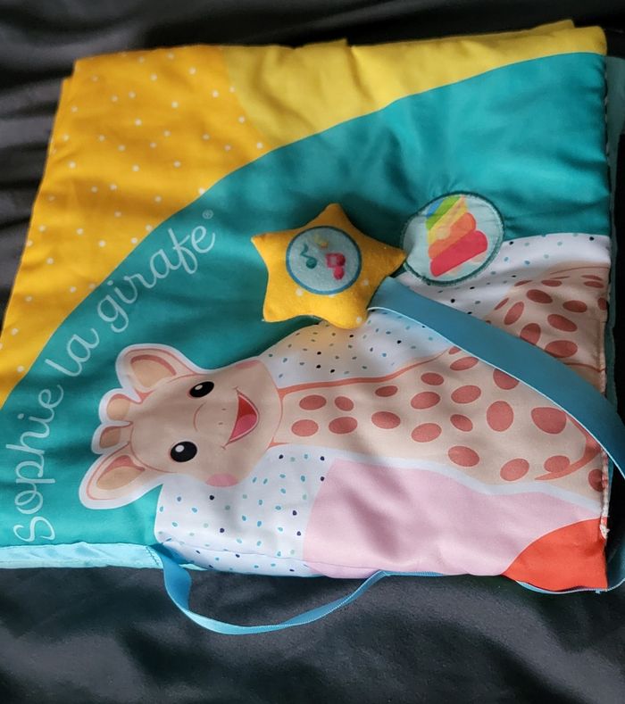 Grand livre + 1 hochet