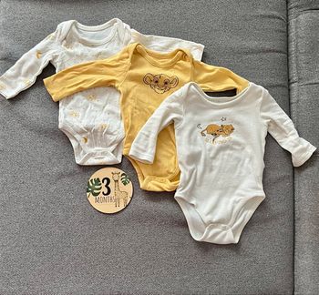 Lot bodies le roi lion 