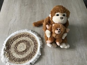 Singe avec son bébé