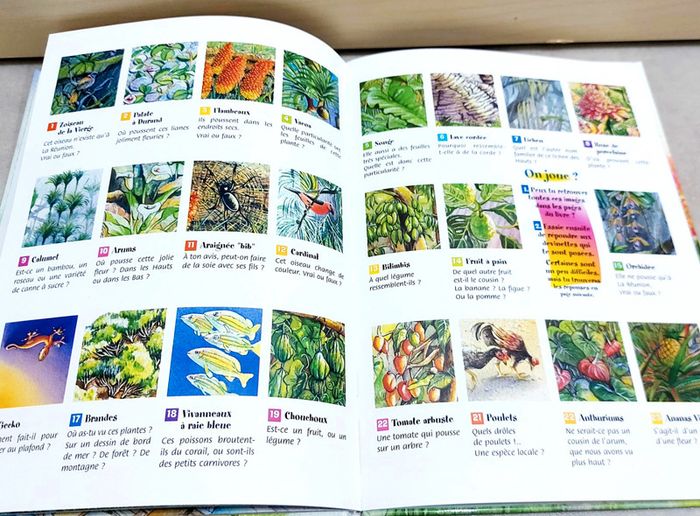 📚 Livre : Les pépites d'arc en ciel (une aventure de Ti'Rock et Ti'Tango à la Réunion) - photo numéro 4