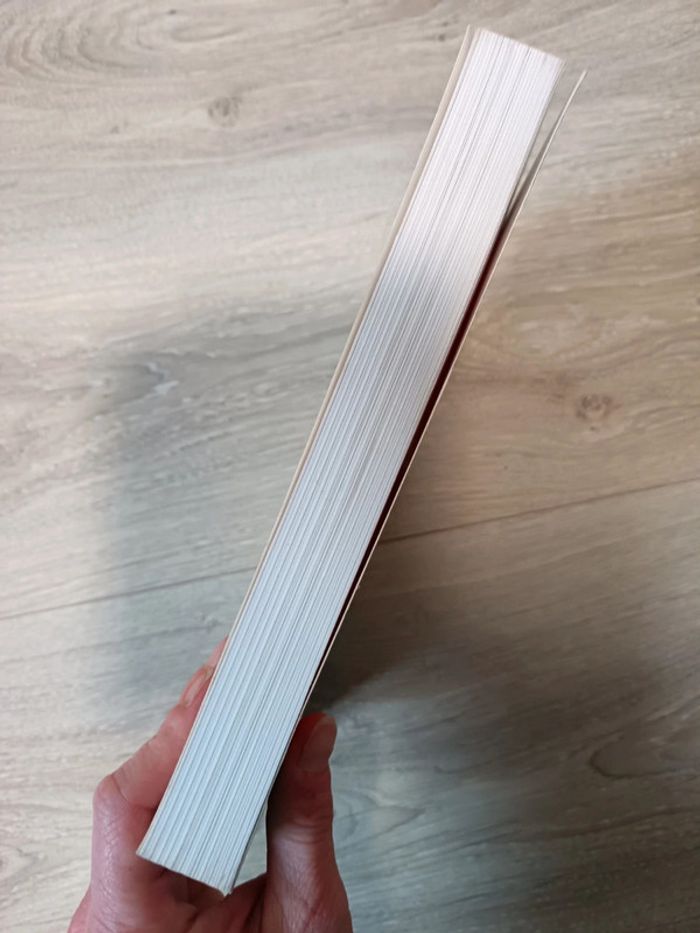 Japon Pluriel 4. Actes Du Quatrieme Colloque De La Societe Francaise Des Etudes Japonaises - photo numéro 6