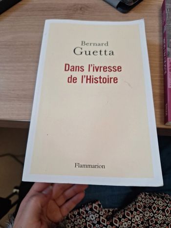 Dans l'ivresse de l'histoire