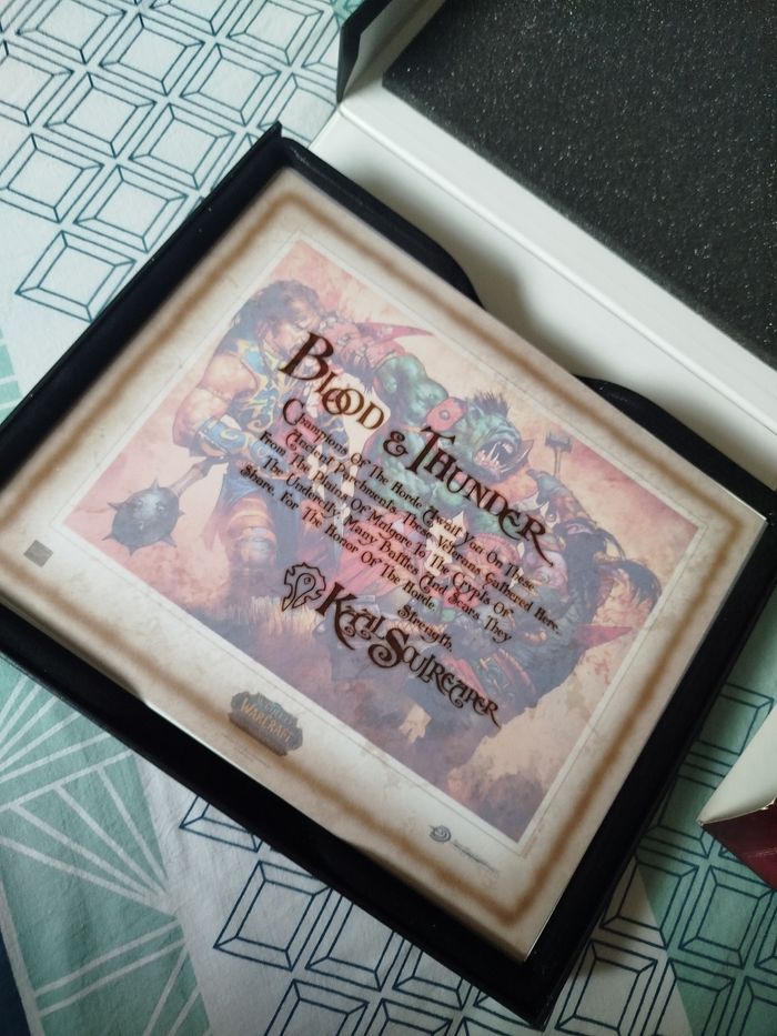 Coffret 35 cartes the horde world of warcraft - photo numéro 10