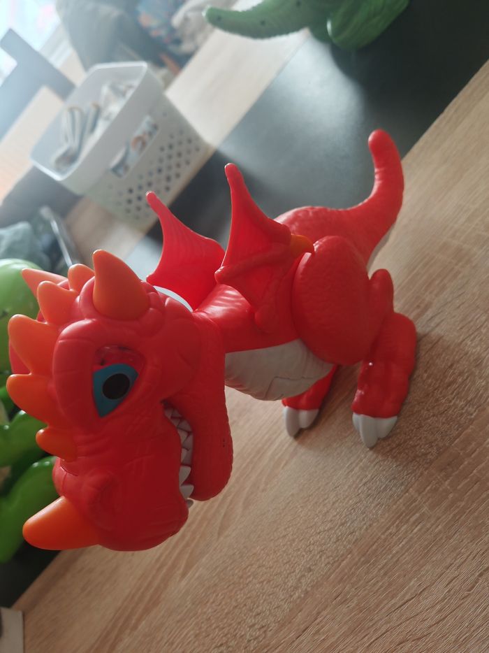 Petit dragon - photo numéro 4