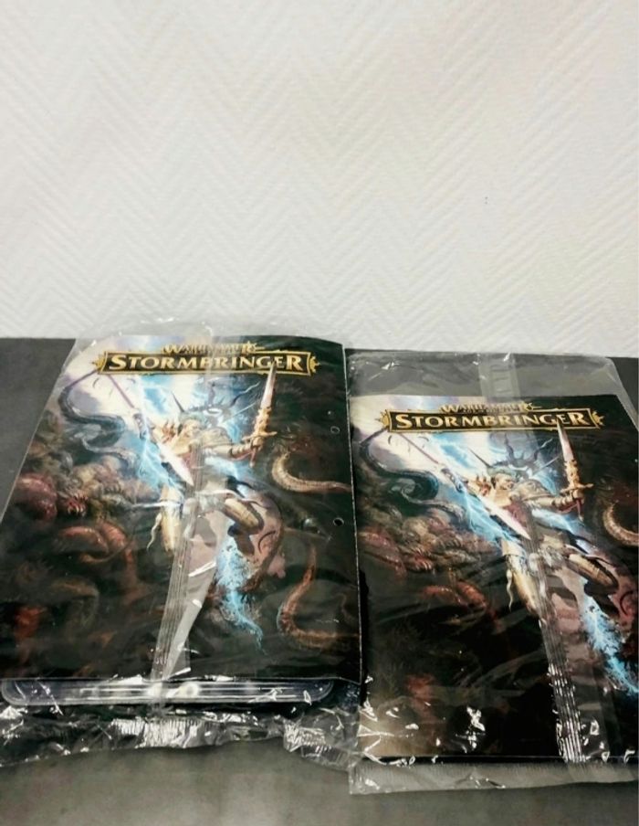 Warhammer stormbringer les batailles de l’âge de Sigmar numéro 2 et 3 - photo numéro 4
