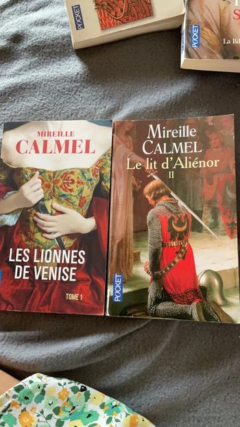 #les lionnes de Venise et le lit d’aliénor Mireille Calmel )