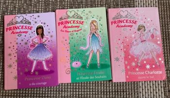Lot 3 livres academy princesse
