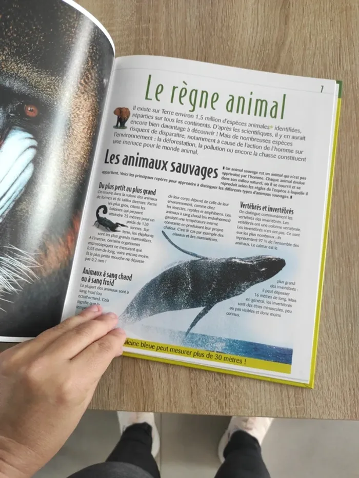 Livre édition atlas les animaux sauvages - photo numéro 3