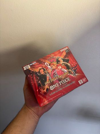 Display one piece eb03 FR