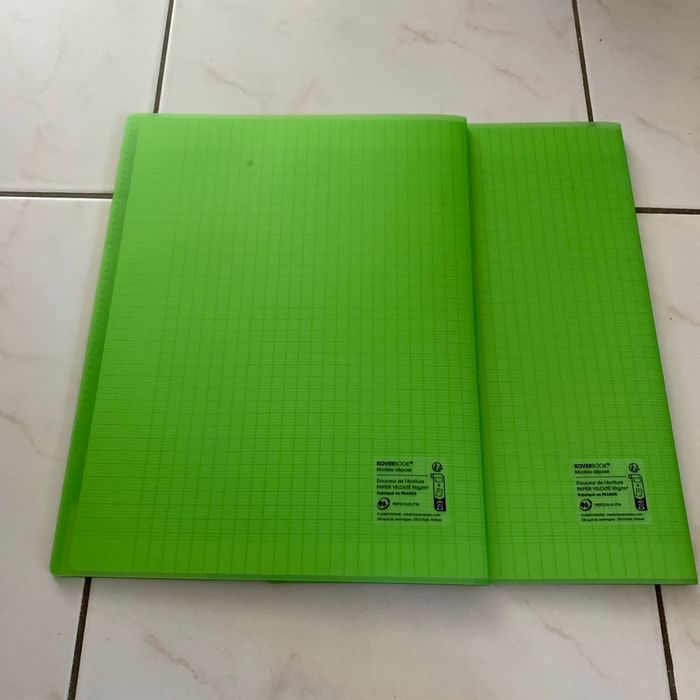 Le lot de 2 cahiers grands carreaux - photo numéro 3