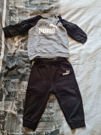 Ensemble puma