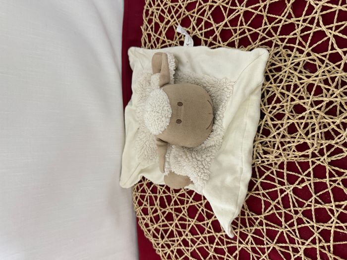 Doudou plat mouton NATURE ET DECOUVERTES beige - photo numéro 4