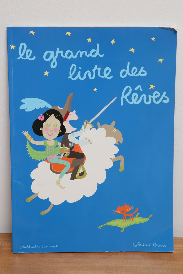 Le grand livre des rêves - photo numéro 1