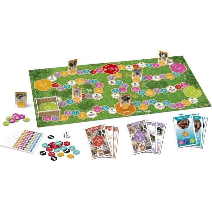 jeu SPA de Lansay - photo numéro 2