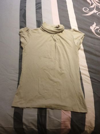 Col roulé manches courtes