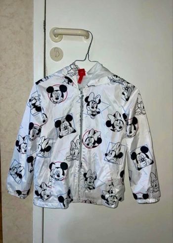 Très joli coupe-vent, Disney