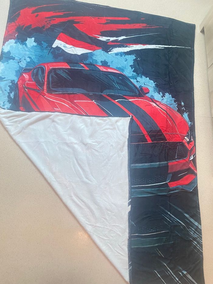 Couverture voiture - photo numéro 4