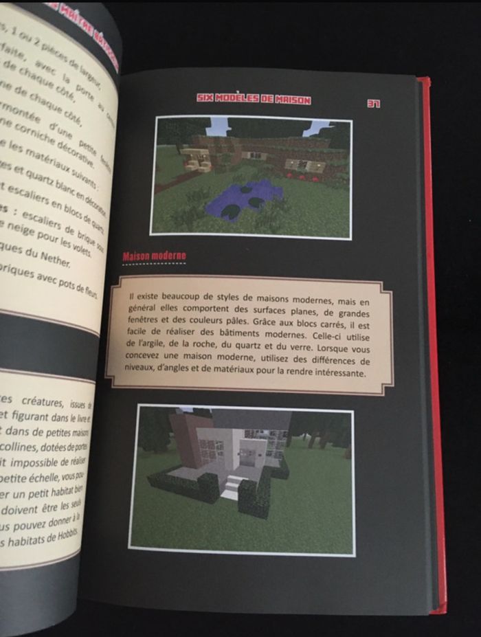 lot Minecraft : livres et porte clef - photo numéro 3