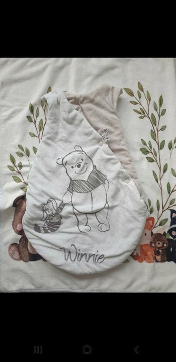 Gigoteuse winnie 0-3 mois