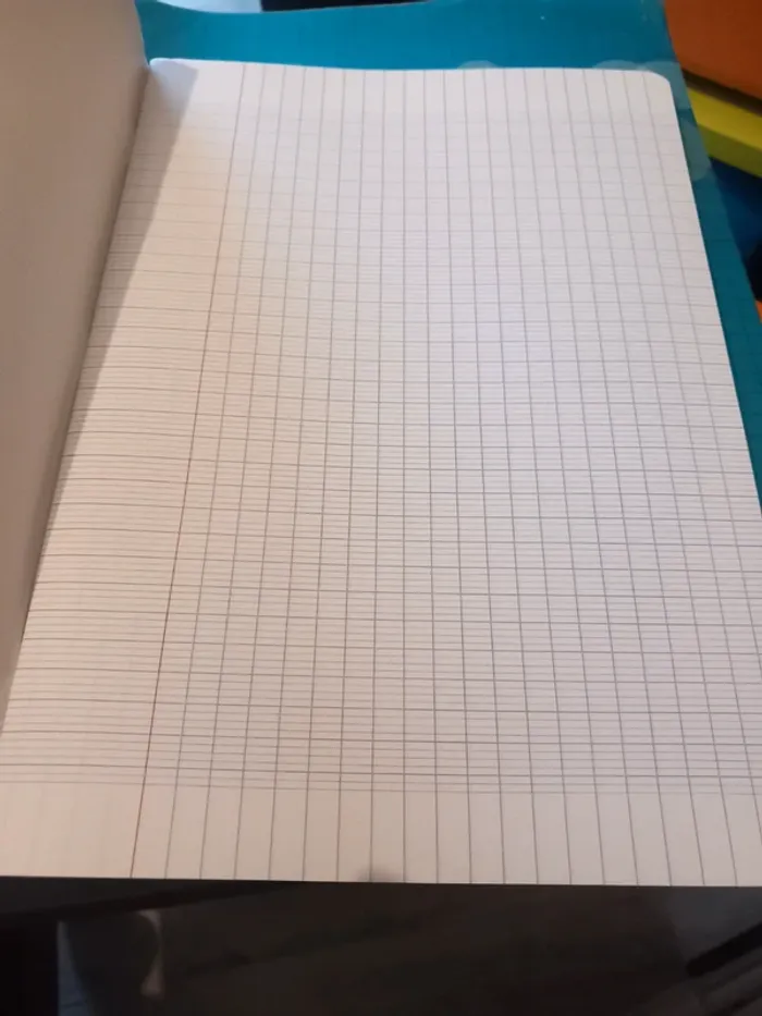 Cahier 24x32 petits carreaux 96 pages - photo numéro 2