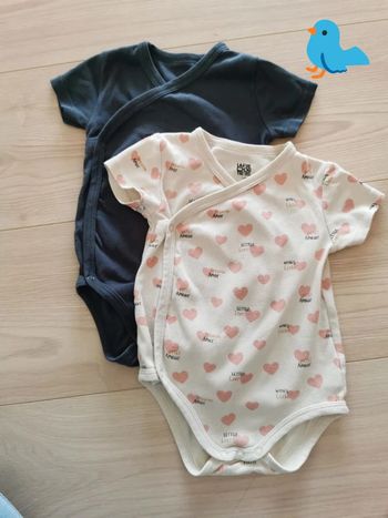 Lot de 2 bodies 12 mois